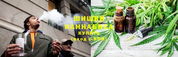 шишки Балабаново