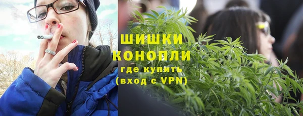 шишки Балабаново