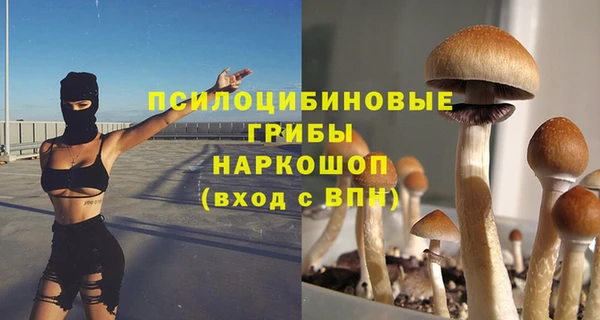 шишки Балабаново