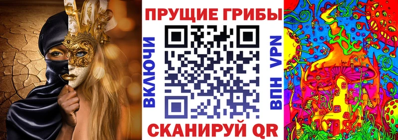 гидра маркетплейс  цены   Белоусово  Псилоцибиновые грибы MAGIC MUSHROOMS 